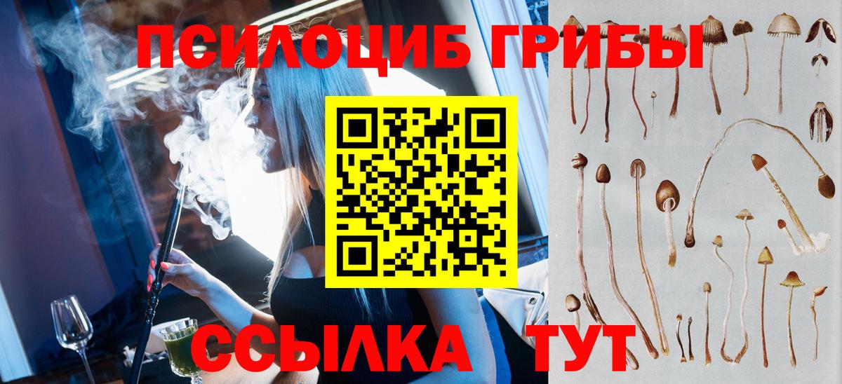 Псилоцибиновые грибы Cubensis Родники
